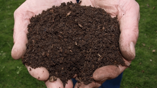 Nurturing Growth: Unveiling the Power of Organic Soils and Fertilizers