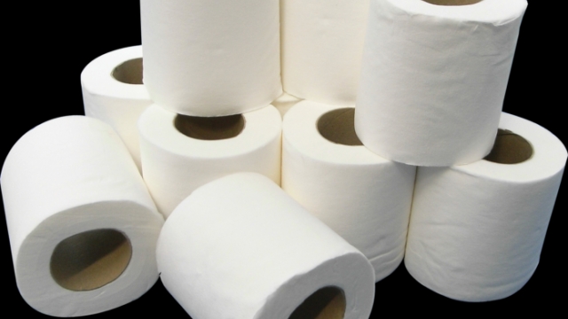 The Great Unraveling: A Deep Dive into the World of Toilet Paper