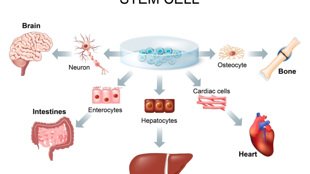 Unlocking the Healing Potential: The Power of Stem Cell Therapy