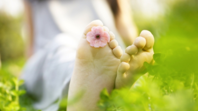 Stepping Into Wellness: Exploring Forest Hills Podiatry
