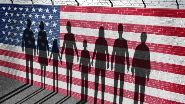 Navigating the Legal Pathways: Decoding Immigration Laws