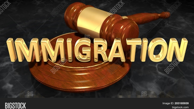 Unlocking the Puzzle: Navigating the Complexities of Immigration Law