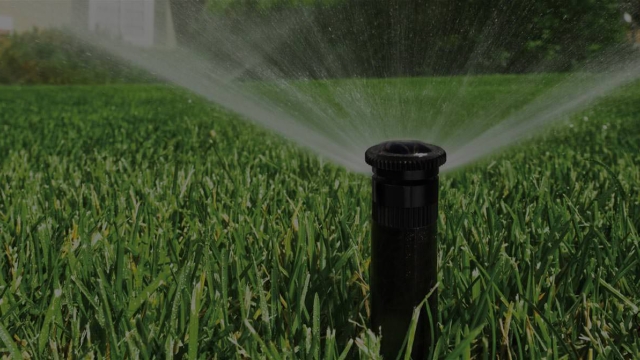 Sprinkler TLC: Keeping Your Garden Green and Gorgeous