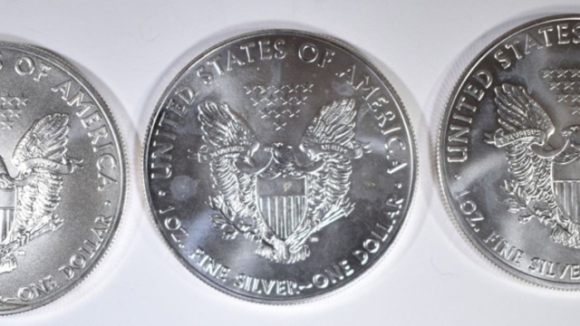 The Enigmatic Beauty of Rare Silver Eagles
